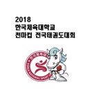 한국체대 천마태권도 이미지