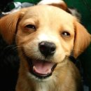 대영정비 이미지