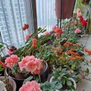 영덕여자중학교 이미지