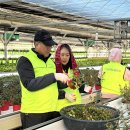 하나로유통 이미지