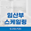 궁인덕치과의원 | 임산부 스케일링, 치과 치료받기 좋은 적절한 시기는?
