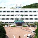 용호천 Daum카페