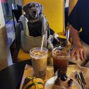 베이커스룸 이미지