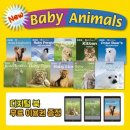 뉴베이비 네이버블로그