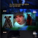 체이스