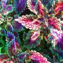 굿모닝 힐하우스 이미지