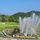 태화강국가정원 이미지