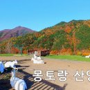 감성찾아 떠난 강원 남부여행 5부... 몽토랑 산양목장, 철암 단풍군락지 이미지