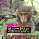 니드상사 이미지