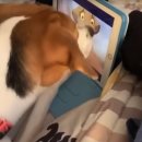 스마트심바이오 이미지