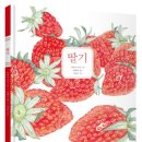 박원식농장 | [용인] 딸기따기 체험 농장- 어린이와 서울근교제목없음갈만한 곳/ 꽃피는 화덕피자