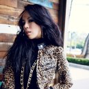 금상첨화 이미지