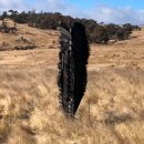 우주목장 이미지