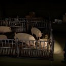 대양농장 이미지