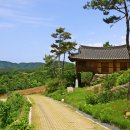 하얀민들레마을 이미지