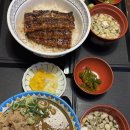 울산 달동 장어덮밥 맛집 카레규동 고고우나동 데이트장소