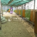 안심초교병설유치원 이미지