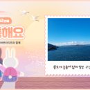 어바웃케이크 이미지