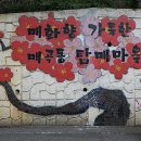 순천지방법원 주차장 Daum카페