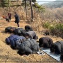 휴장례 네이버블로그