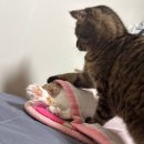 오산농업협동조합신지지소 | 내 8월