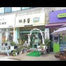 상록자이언트 이미지