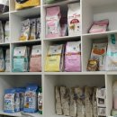 위드독스 샵 이미지