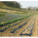 브니엘농장 이미지