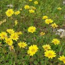 한장미아파트 이미지