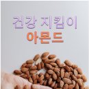 아몬드의 효능 이미지