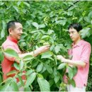 김현규농장 이미지