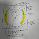 트윈스동물병원 | [일상] 2025 #10-2