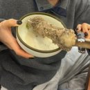 을왕리300해물갈비