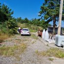 청우민박 이미지