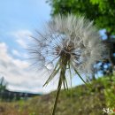 추풍령(서울) 이미지