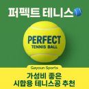 퍼펙트스포츠 | 가연스포츠 퍼펙트 테니스공 솔직 후기