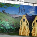 금산인삼종합전시관 이미지