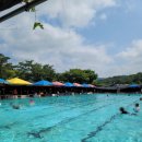 고양워터파크 이미지