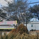 사파리모텔 이미지