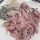 밀레니엄횟집 | [부산] 광안리 수변공원 민락회센터 | 희정이네 | 밀레니엄횟집