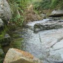 푸른빨래터 이미지