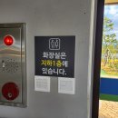 강진군 남포축구장 | 아름다운 갈대가 춤추는 강진만생태공원🌾