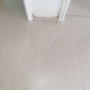 마루인터내셔날 이미지