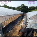 한천보건진료소 이미지