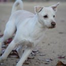 원신근린공원 이미지