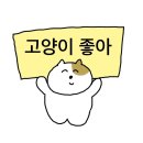 이름 붙일 수 없는 일들은 마음에 오래 남는다고 하더라