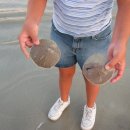 나홀로 진짜 여행 이미지