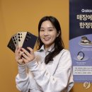 갤럭시S24의 선호하는 모델/색상.jpg 이미지