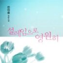 설레임PC 이미지