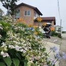 제주편백휴낭 이미지